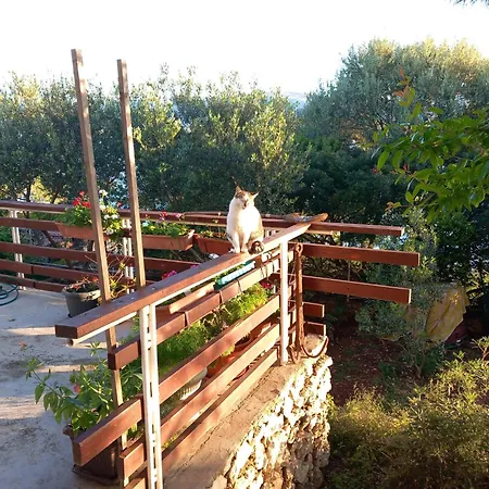 Апартаменти Bella