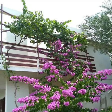 Bella * Трогір